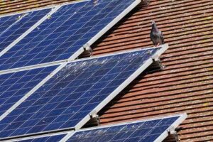 Damaged solar panels Nicholasville, KY